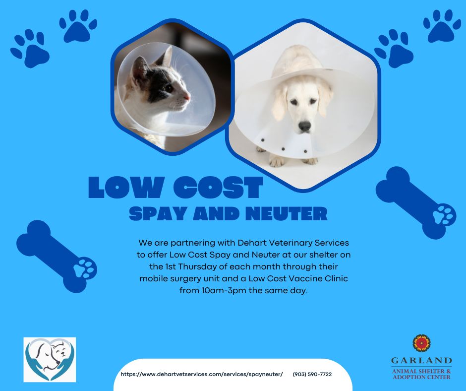 Graphic promoting the low cost services