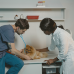 Image of a vet clinic